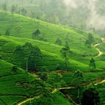 srí lanka